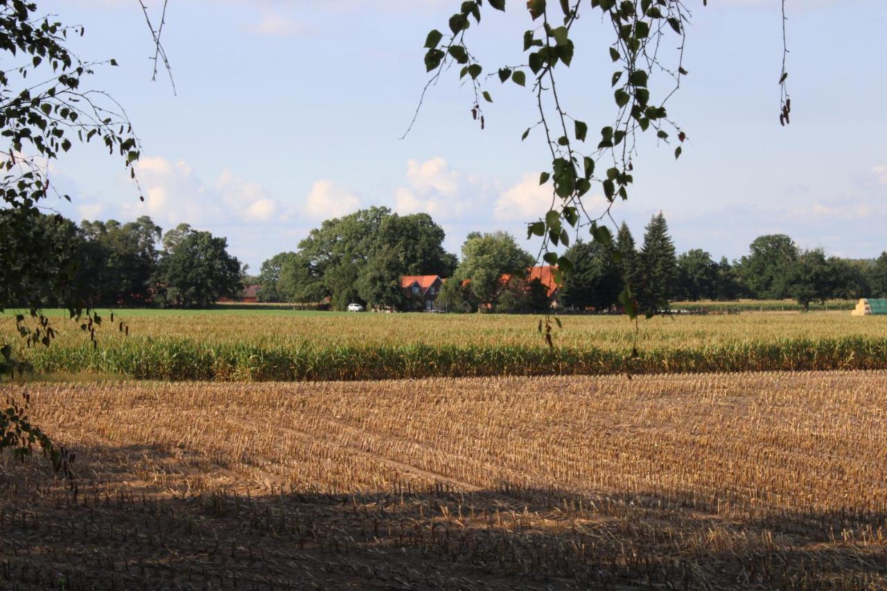 Bauernhofurlaub Bei Familie Bokeloh Villa Kirchlinteln ภายนอก รูปภาพ