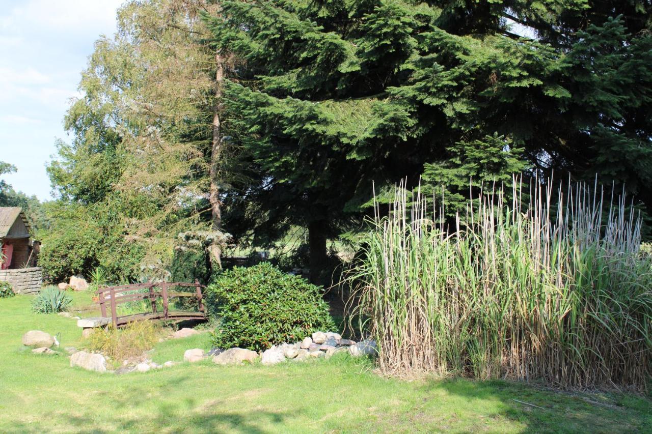 Bauernhofurlaub Bei Familie Bokeloh Villa Kirchlinteln ภายนอก รูปภาพ