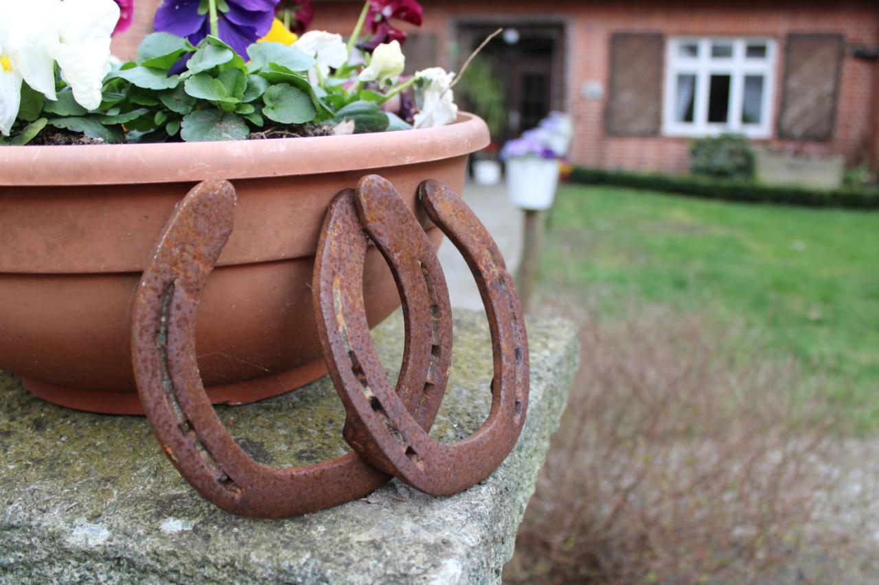 Bauernhofurlaub Bei Familie Bokeloh Villa Kirchlinteln ภายนอก รูปภาพ