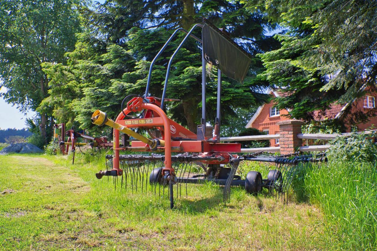 Bauernhofurlaub Bei Familie Bokeloh Villa Kirchlinteln ภายนอก รูปภาพ