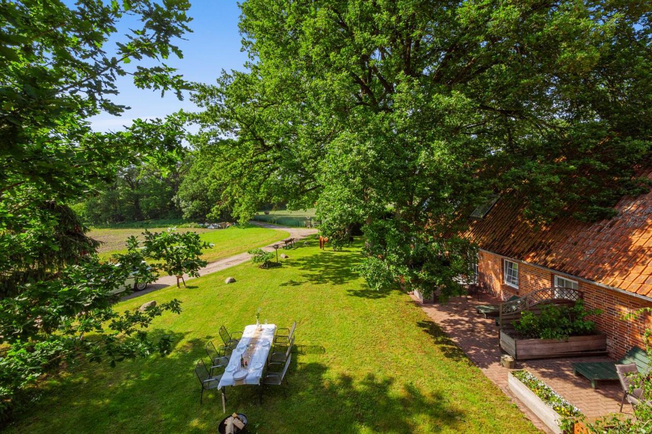 Bauernhofurlaub Bei Familie Bokeloh Villa Kirchlinteln ภายนอก รูปภาพ